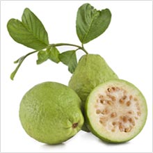 Guaven